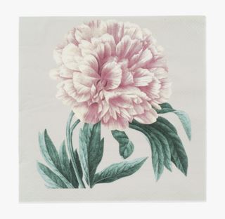 Peonie paperiservetit luonnonvalkoinen