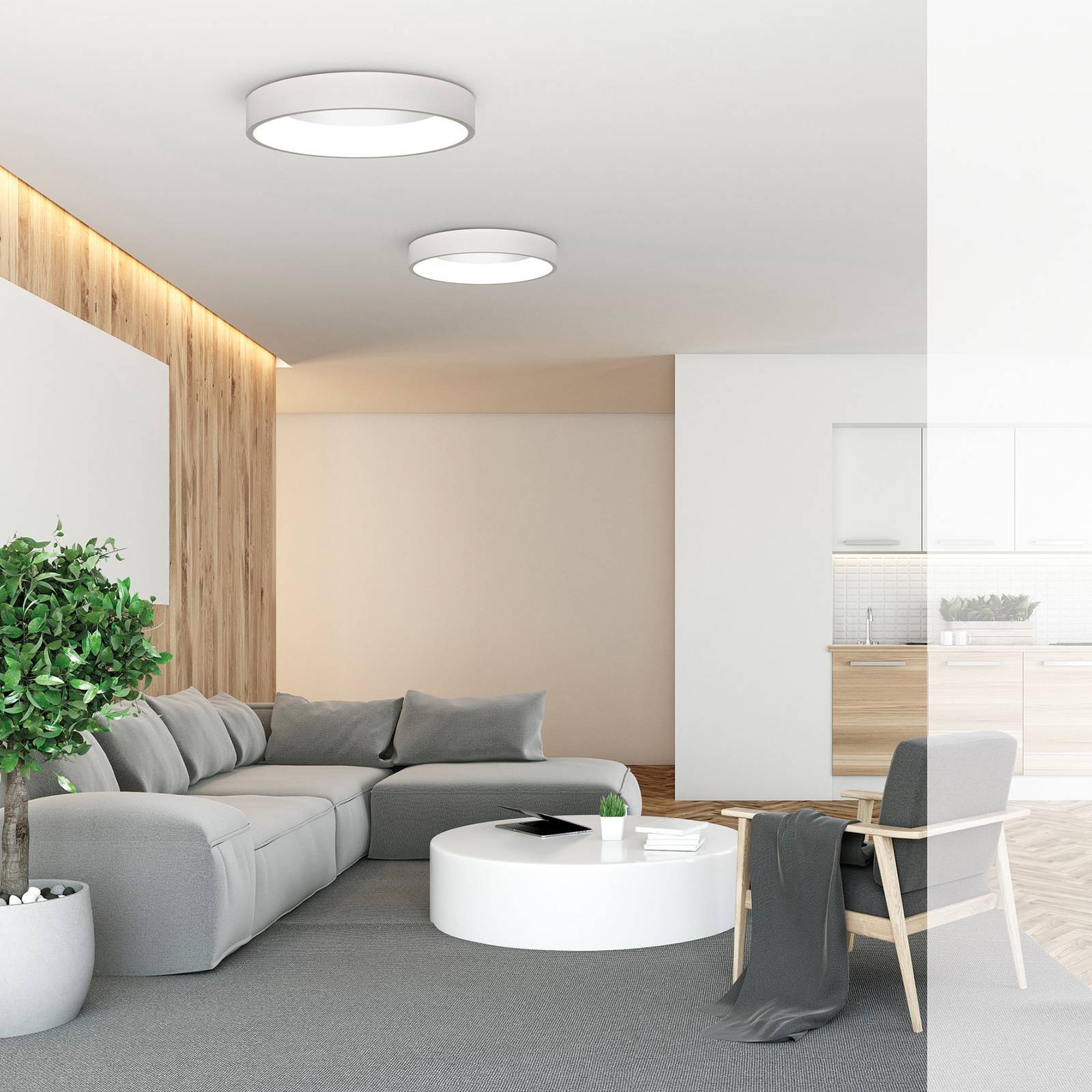LED-kattovalaisin Dilga Ø 60 cm Casambi valkoinen
