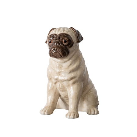 Koriste Big Pug