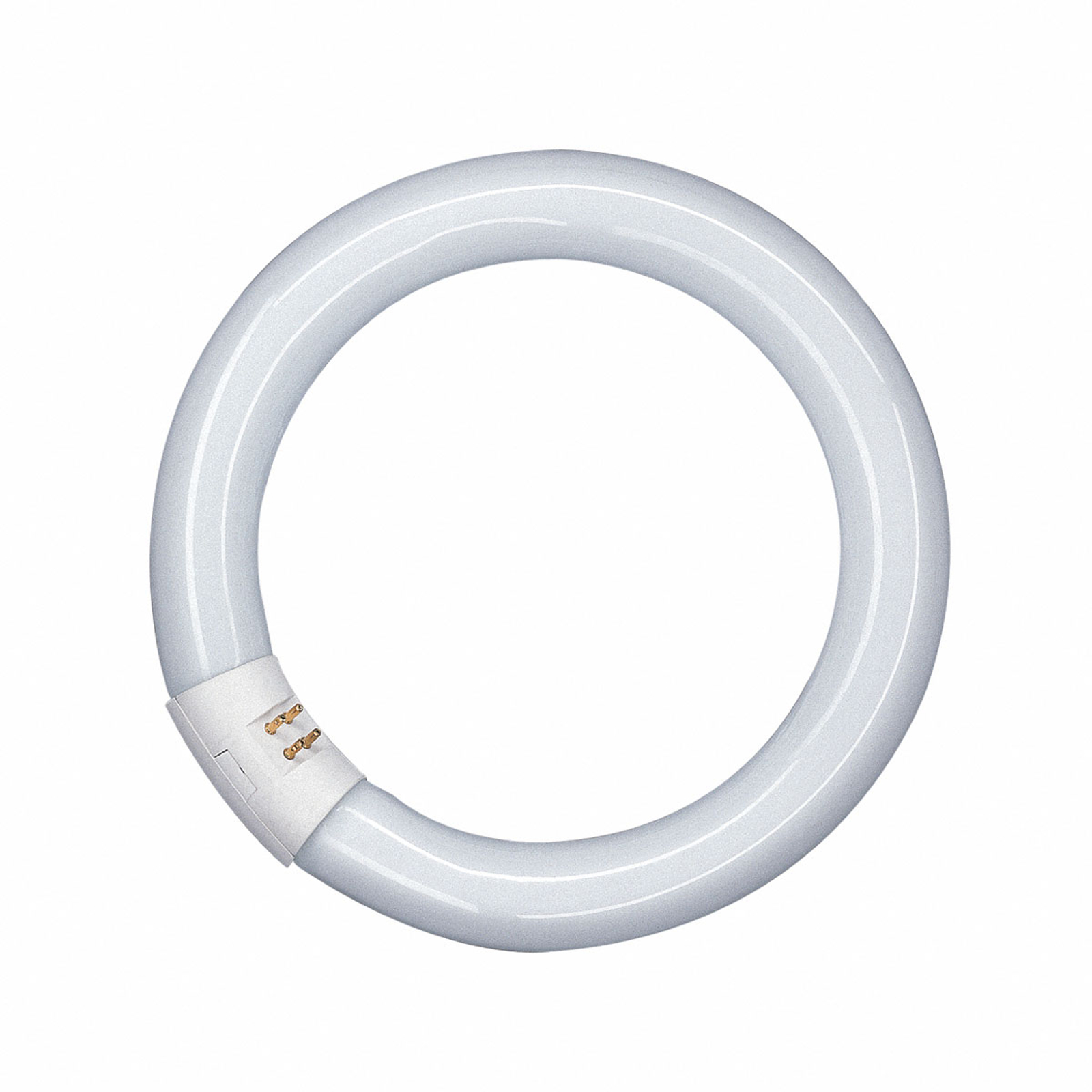 G10q 32W 865 Lumilux T9C -rengasloistelamppu