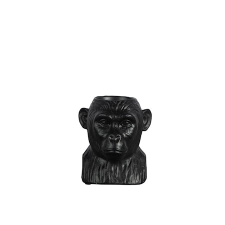 Koriste Gorilla