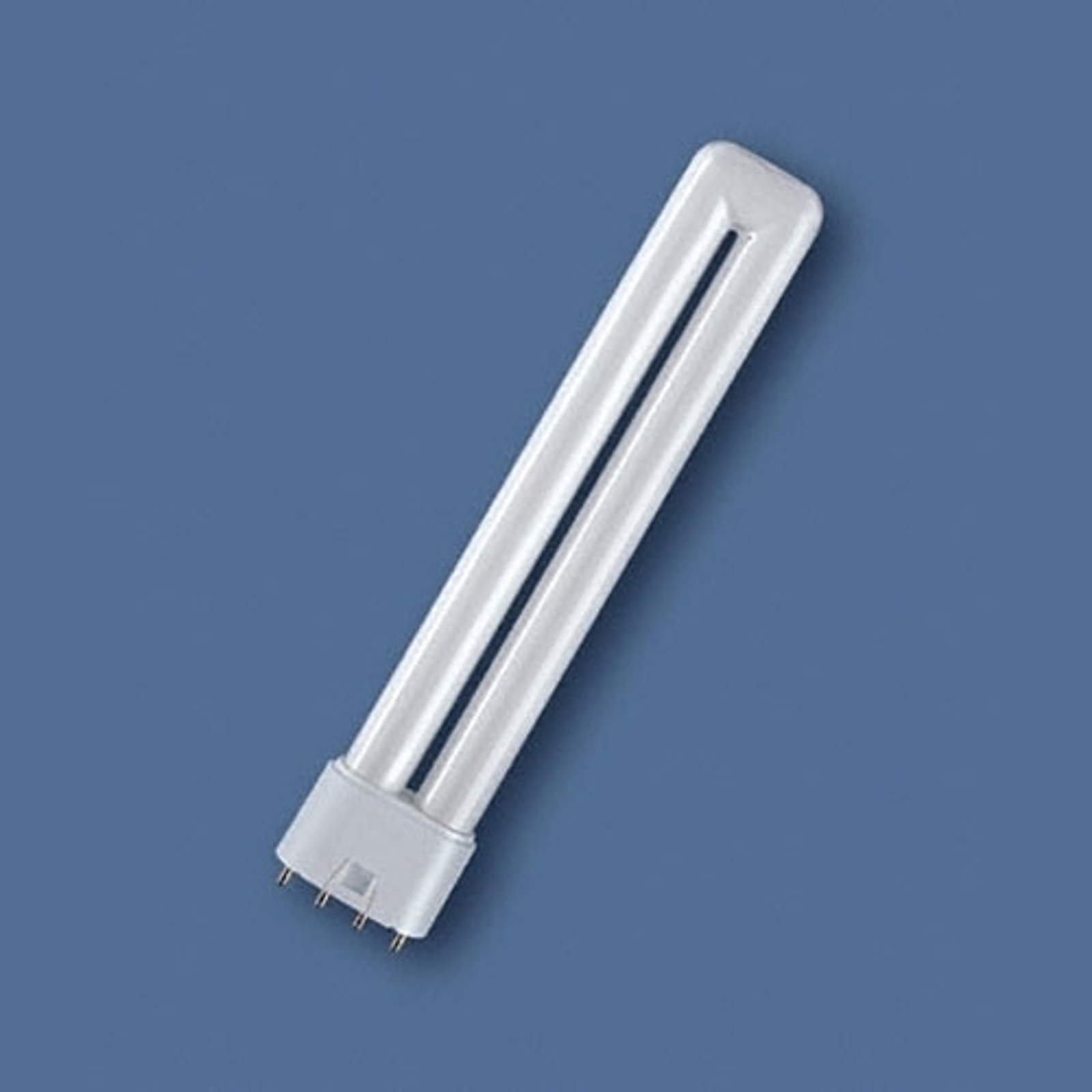 2G11 36W 865 Dulux L -pienloistelamppu