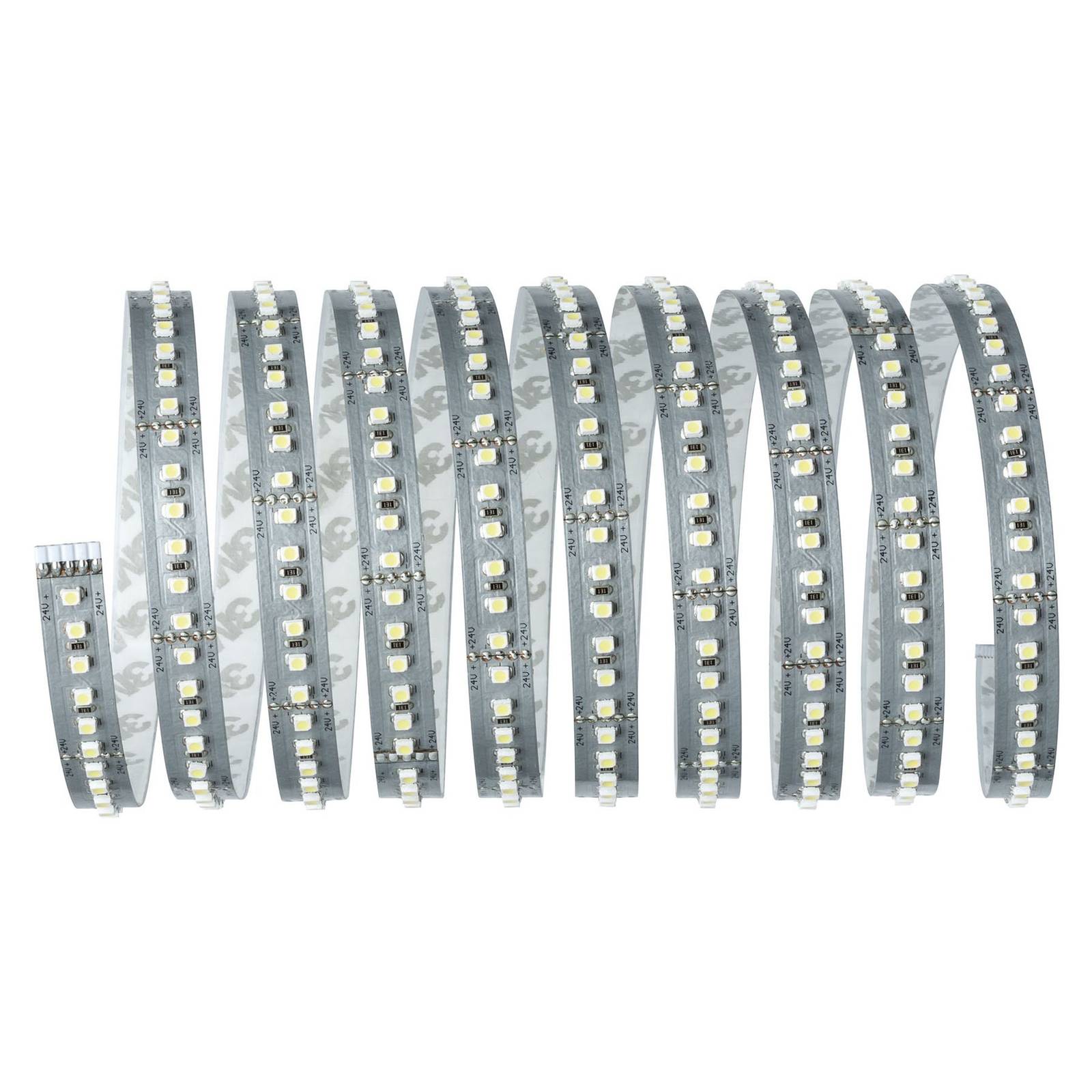 Paulmann MaxLED 1000 3m LED-nauha 6 500 K