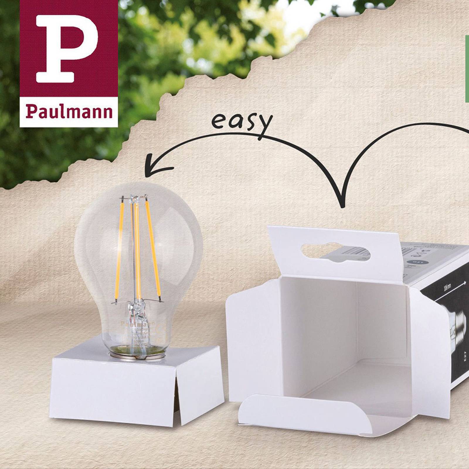 Paulmann LED-Globe E27 Inner Shape G95 4W matta