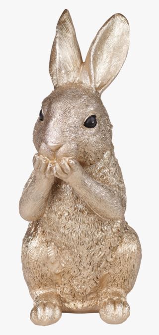 Rabbit no speak koriste kulta