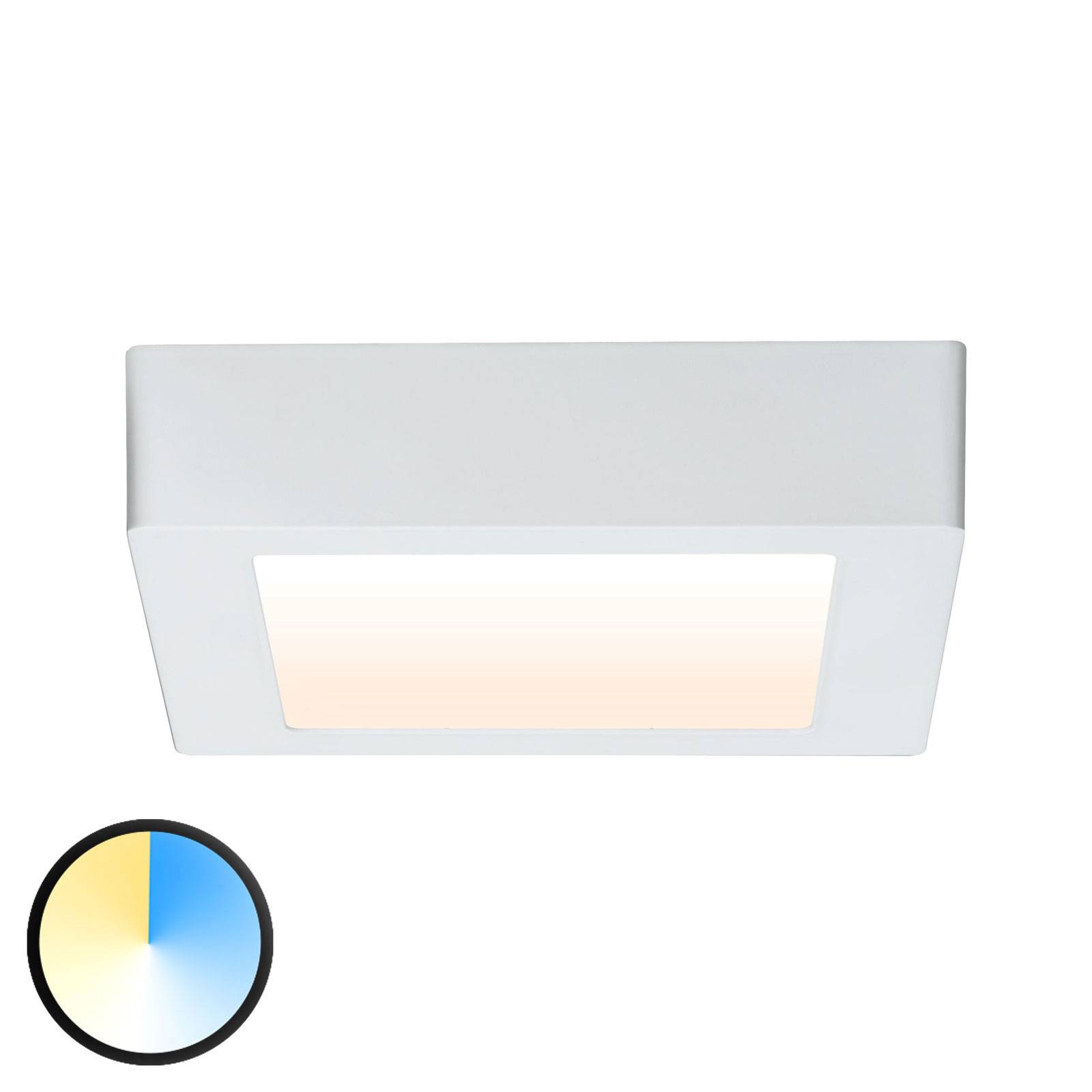 Paulmann Carpo -LED-kattovalaisin 17 x 17 cm