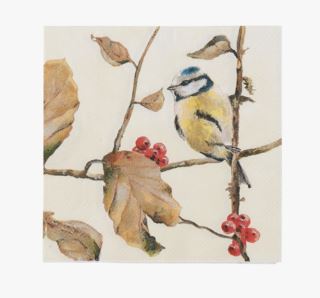 Autumn birds paperiservetit moniväri