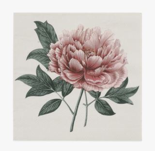 Peonie paperiservetit roosa