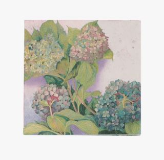 Hortensia paperiservetit moniväri