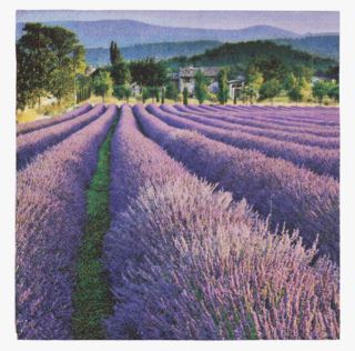 Lavender paperiservetit violetti