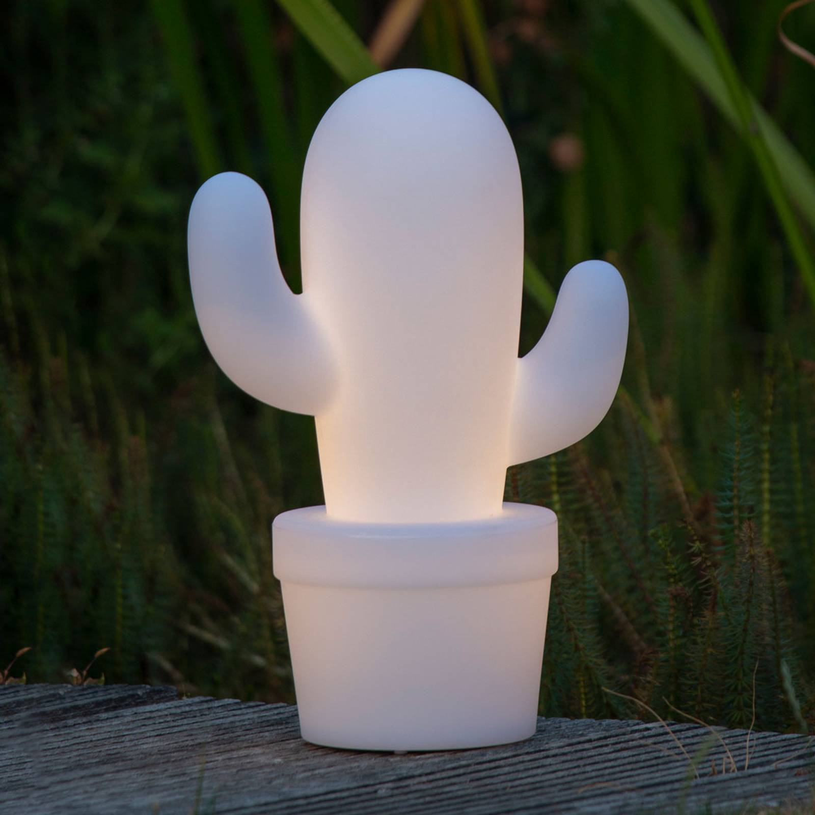 Cactus-LED-koristevalaisin, IP44