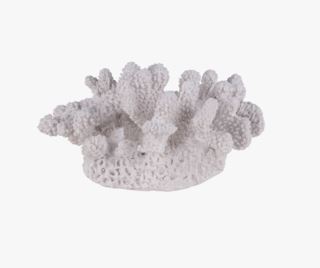 Pillar coral koriste valkoinen