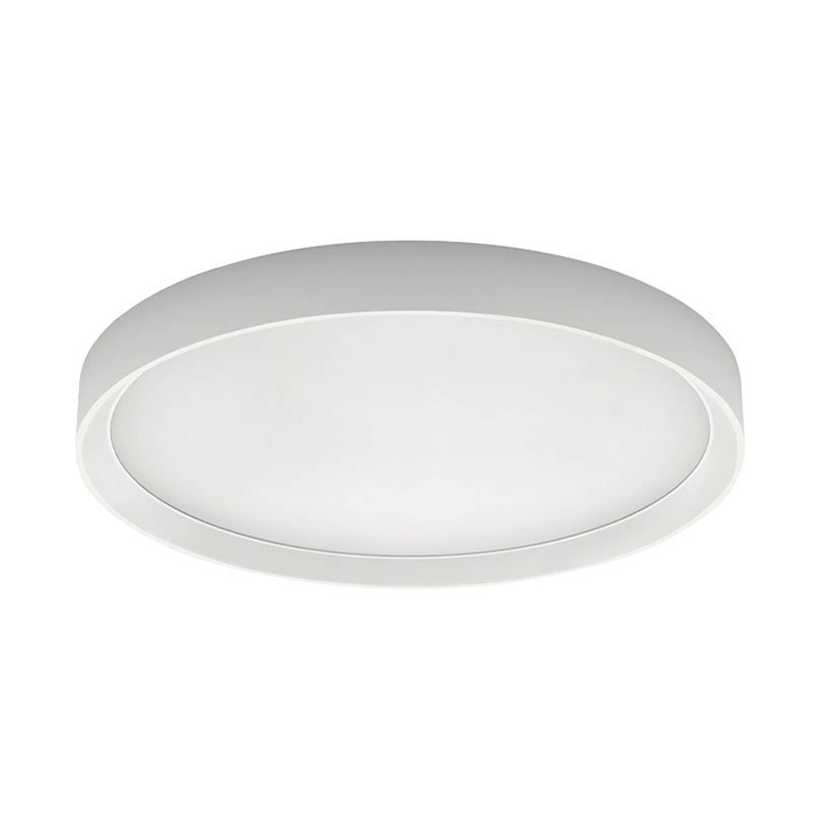 LED-kattovalaisin Tara R, pyöreä, Ø 51 cm