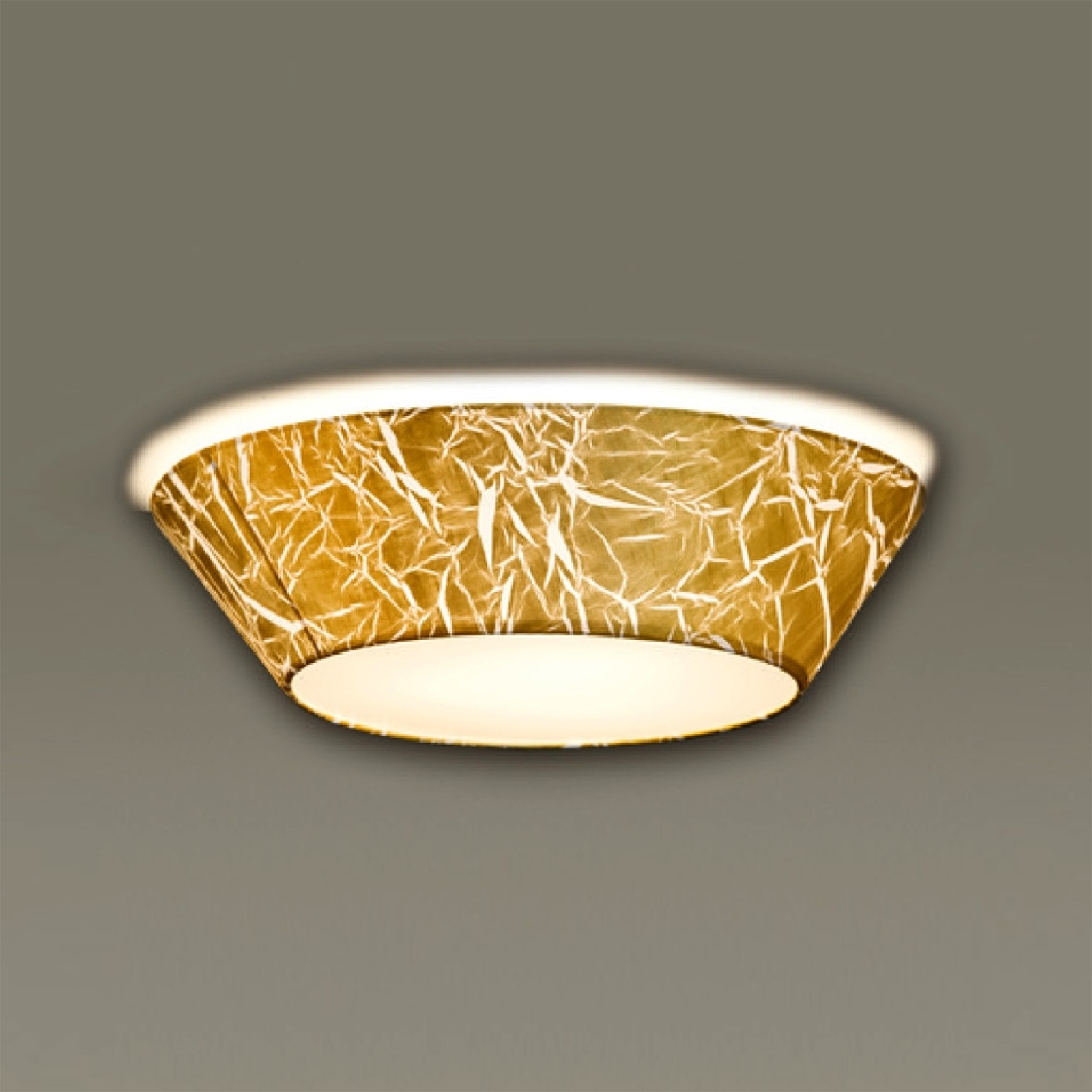 Arius – kattovalaisin Strapatto-kalvolla, 45 cm