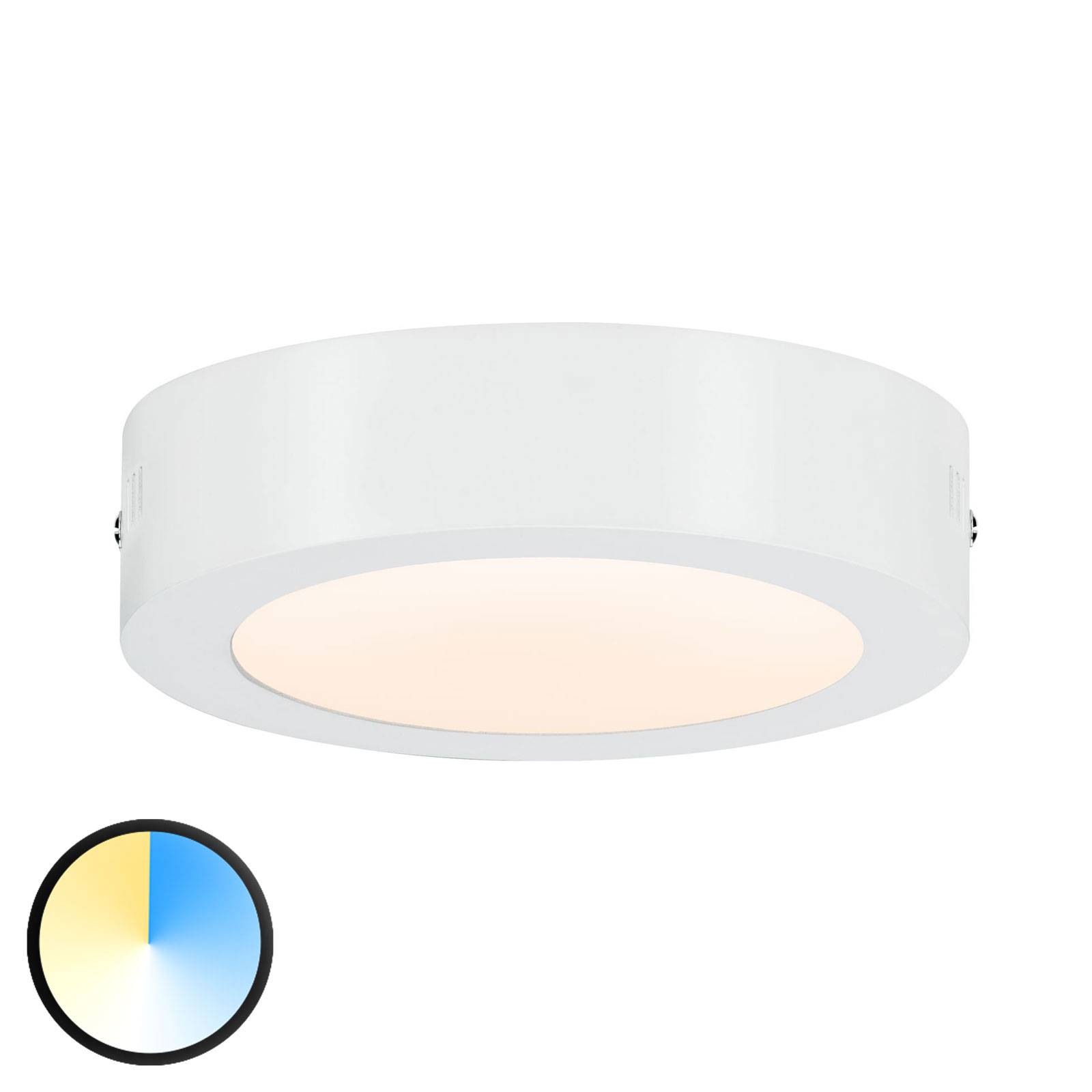 Paulmann Carpo -LED-kattovalaisin pyöreä 17cm