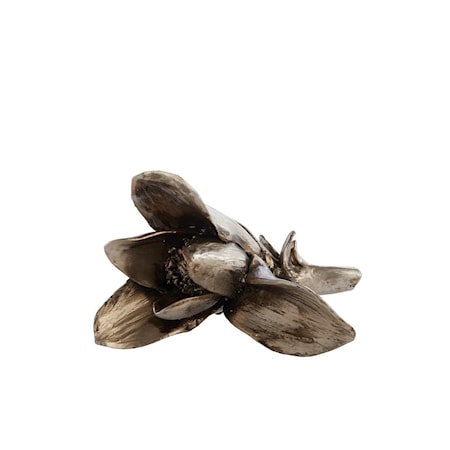 Koriste Serafina Magnolia Kulta