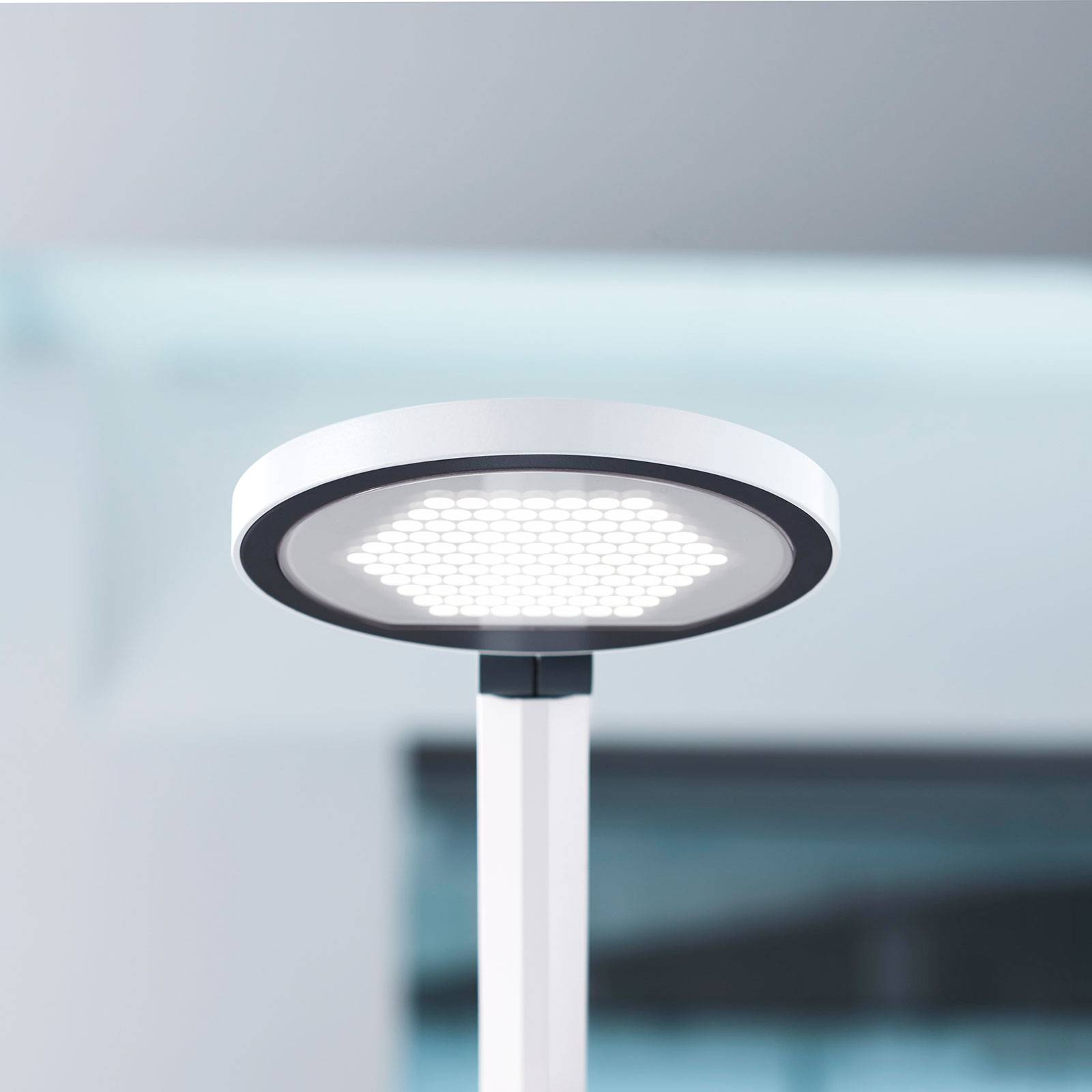 LED-pöytälamppu PARA.MI FTL 102 R valkoinen 930