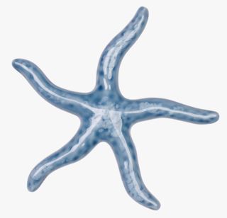 Seastar koriste sininen