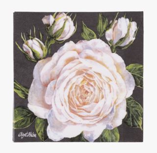 Rosa moniväri