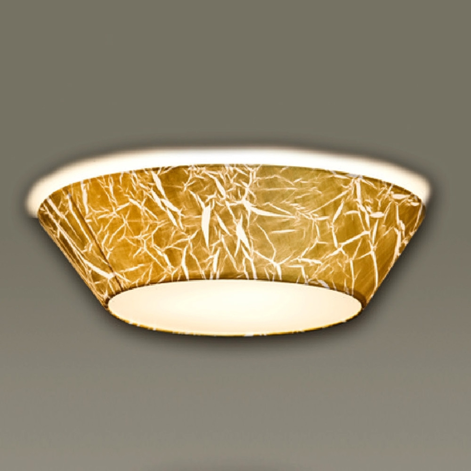 Arius – kattovalaisin Strapatto-kalvolla, 60 cm